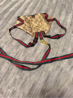 Tan and Green Small Pet Harness and Leash Set